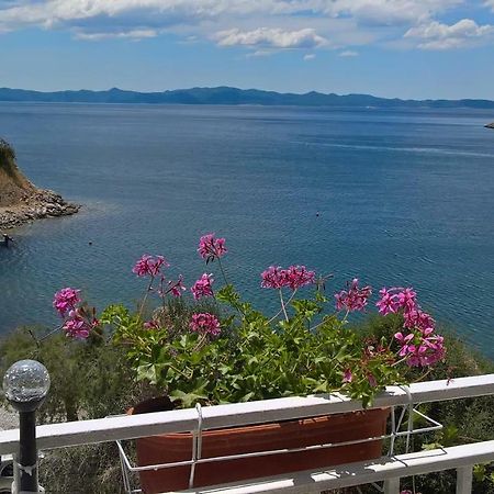Apartmani Kunjasic Trstenik  Dış mekan fotoğraf