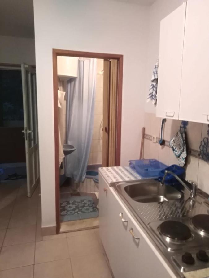 Apartmani Kunjasic Trstenik  Dış mekan fotoğraf