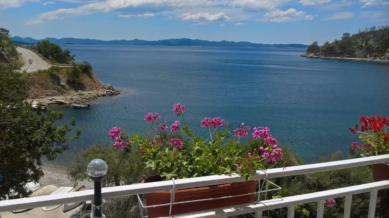 Apartmani Kunjasic Trstenik  Dış mekan fotoğraf